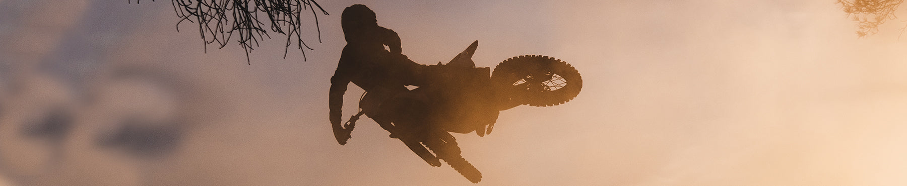 Silhouette einer Person, die auf einem Motocross-Motorrad vor einem nebligen, goldenen Himmel einen Stunt in der Luft ausführt. Vereinzelte Äste rahmen die Szene ein.