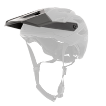 https://cdn.oneal.eu/assets/importedProductImages/HELMETS/MTB/PIKE/SOLID/black_gray/2019_ONeal_PIKE_SOLID_black_gray_Visor.png